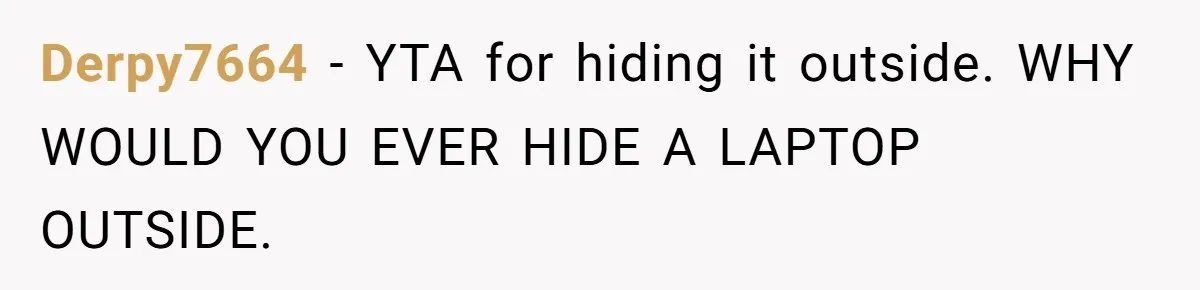 Derpy7664 - YTA for hiding it outside. WHY WOULD YOU EVER HIDE A LAPTOP OUTSIDE.