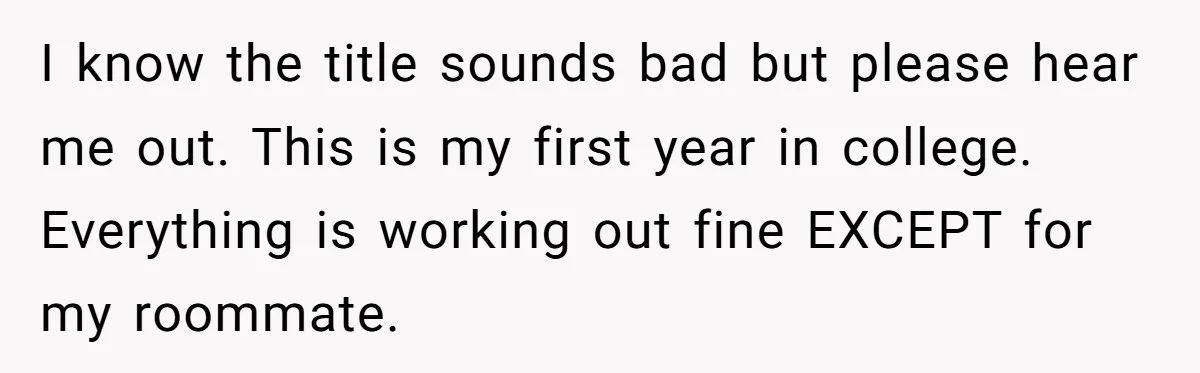 I know the title sounds bad but please hear me out. This is my first year in college. Everything is working out fine EXCEPT for my roommate.