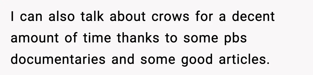 I can also talk about crows for a decent amount of time thanks to some pbs documentaries and some good articles.