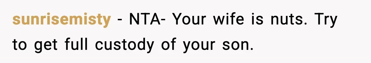 sunrisemisty − NTA- Your wife is nuts. Try to get full custody of your son.
