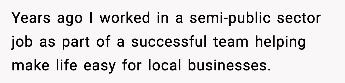 Years ago I worked in a semi-public sector job as part of a successful team helping make life easy for local businesses.