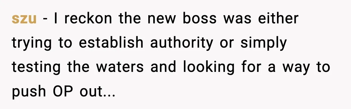 szu − I reckon the new boss was either trying to establish authority or simply testing the waters and looking for a way to push OP out...
