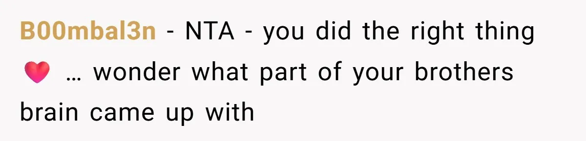B00mbal3n - NTA - you did the right thing ❤️ … wonder what part of your brothers brain came up with