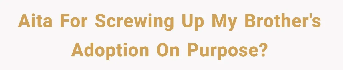 AITA for screwing up my brother's adoption on purpose?