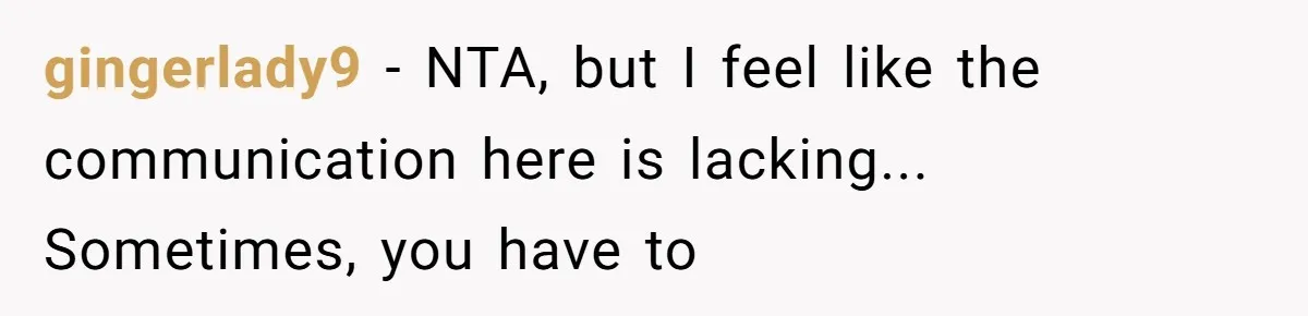 gingerlady9 - NTA, but I feel like the communication here is lacking... Sometimes, you have to