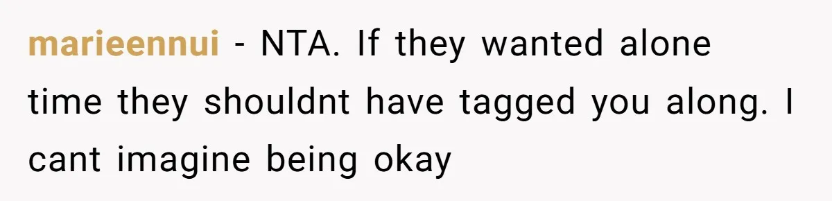 marieennui - NTA. If they wanted alone time they shouldnt have tagged you along. I cant imagine being okay