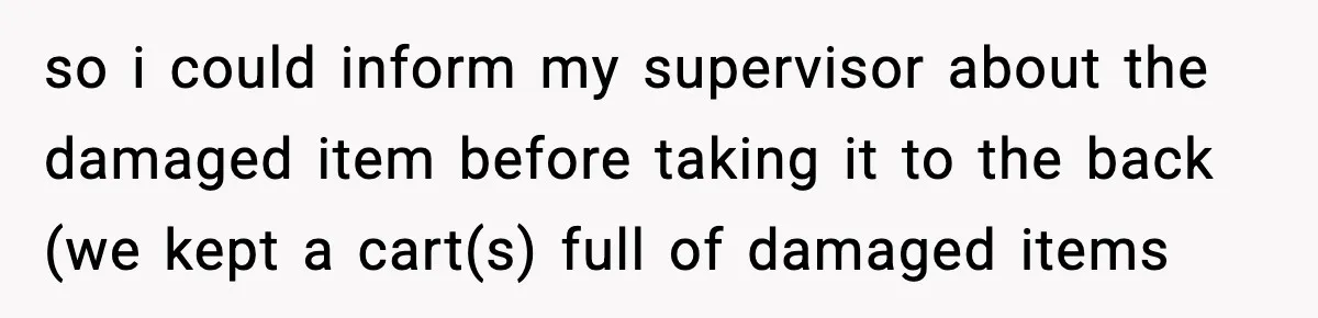 Boss Suspends Teen Worker For “Stealing,” Then Demands He Train His Replacement so i could inform my supervisor about the damaged item before taking it to the back (we kept a cart(s) full of damaged items