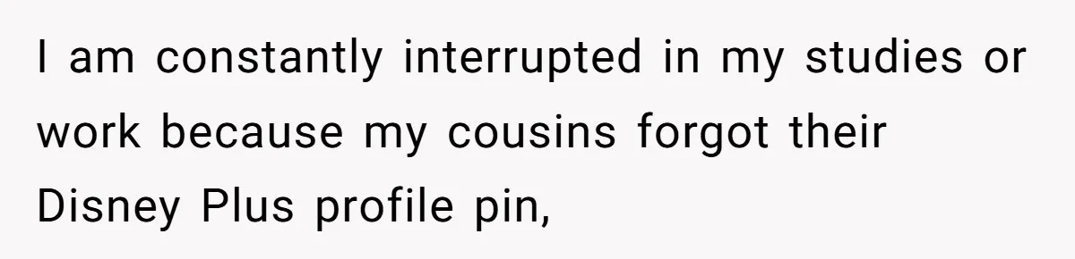 I am constantly interrupted in my studies or work because my cousins forgot their Disney Plus profile pin,