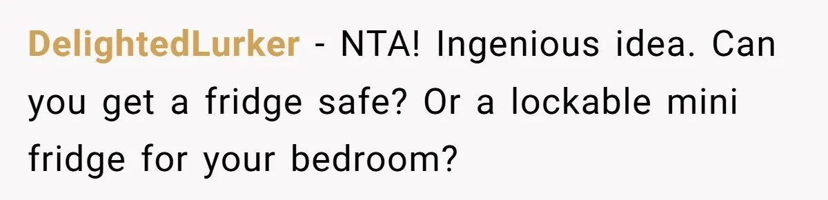 DelightedLurker - NTA! Ingenious idea. Can you get a fridge safe? Or a lockable mini fridge for your bedroom?