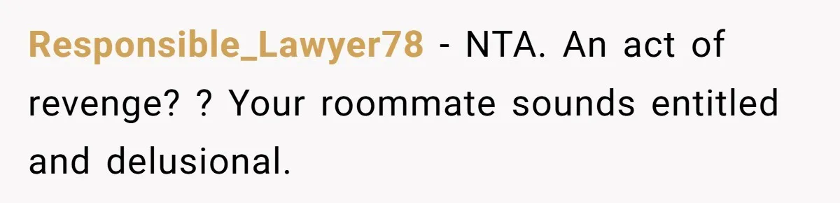 Responsible_Lawyer78 - NTA. An act of revenge? ? Your roommate sounds entitled and delusional.