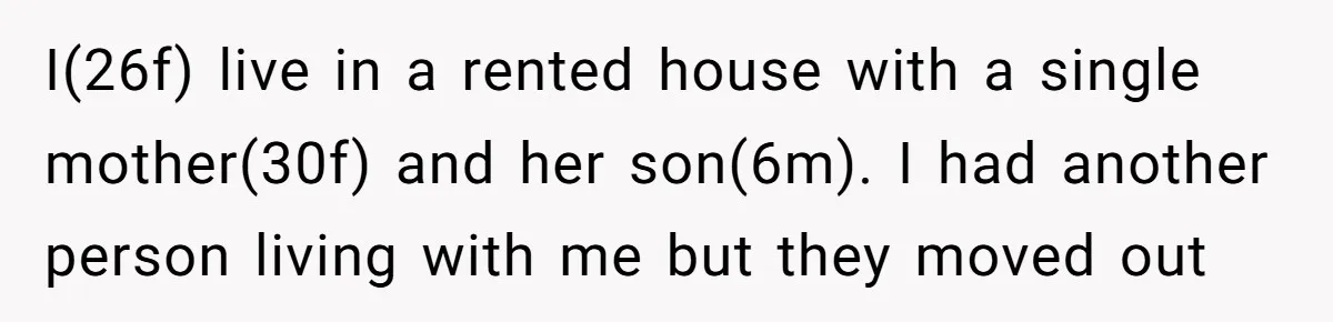I(26f) live in a rented house with a single mother(30f) and her son(6m). I had another person living with me but they moved out