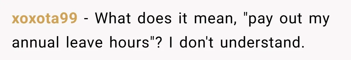 xoxota99 − What does it mean, "pay out my annual leave hours"? I don't understand.