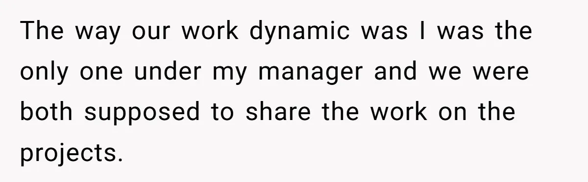 The way our work dynamic was I was the only one under my manager and we were both supposed to share the work on the projects.
