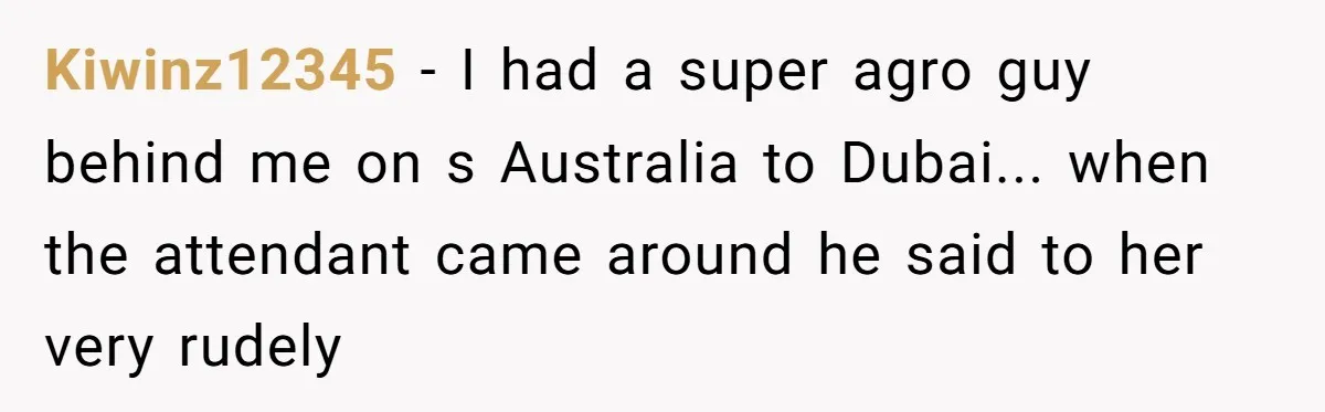 Airplane Know-It-All Tries to Tattle, Gets Beautifully Played by Passenger Kiwinz12345 - I had a super agro guy behind me on s Australia to Dubai... when the attendant came around he said to her very rudely