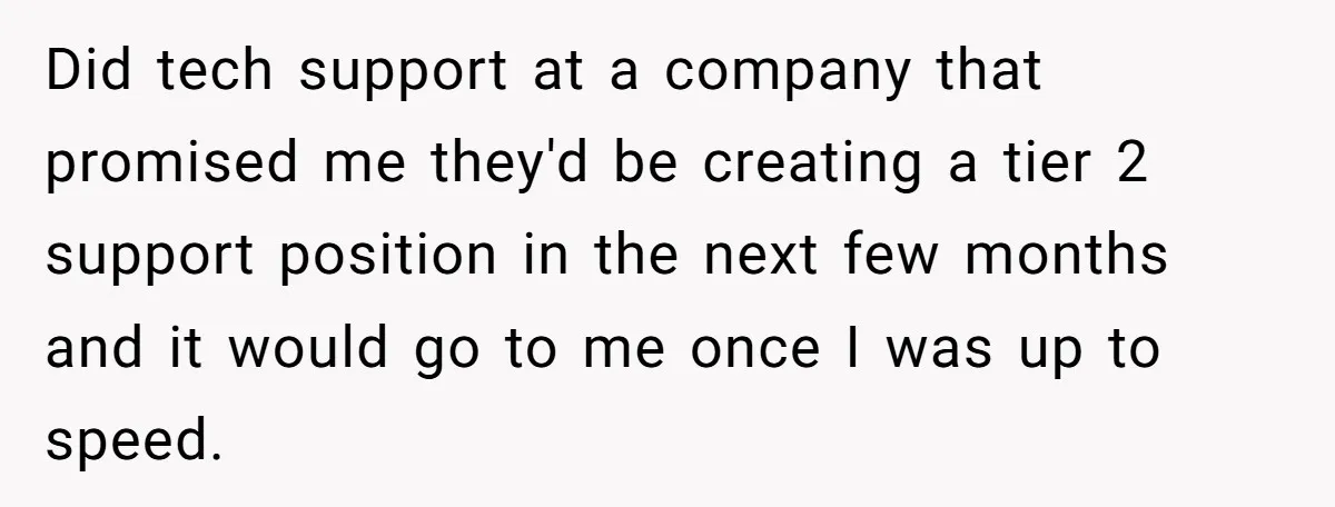 Did tech support at a company that promised me they'd be creating a tier 2 support position in the next few months and it would go to me once I...