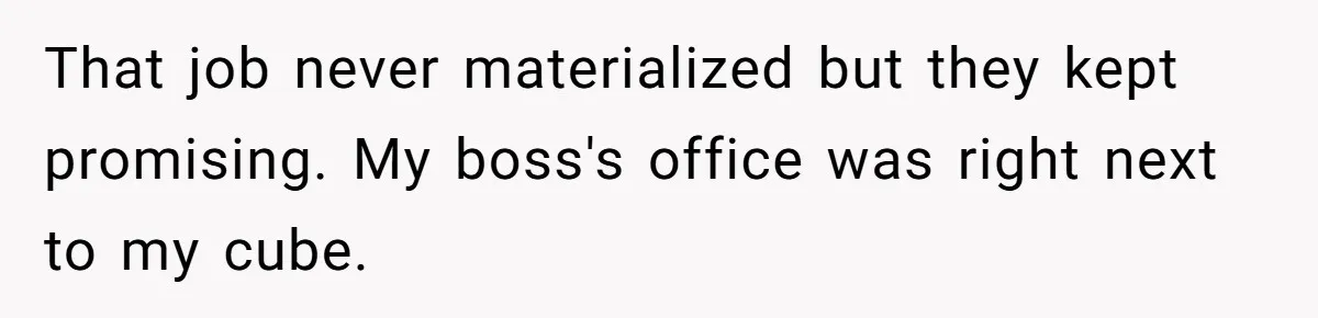 That job never materialized but they kept promising. My boss's office was right next to my cube.