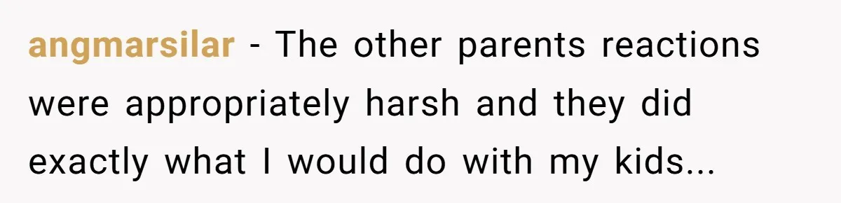 angmarsilar - The other parents reactions were appropriately harsh and they did exactly what I would do with my kids...