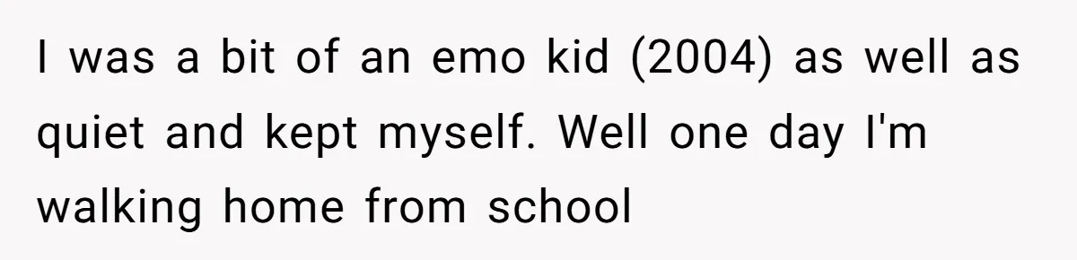 I was a bit of an emo kid (2004) as well as quiet and kept myself. Well one day I'm walking home from school