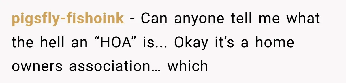 pigsfly-fishoink - Can anyone tell me what the hell an “HOA” is... Okay it’s a home owners association… which