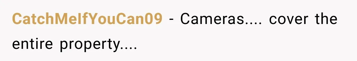 CatchMeIfYouCan09 - Cameras.... cover the entire property....