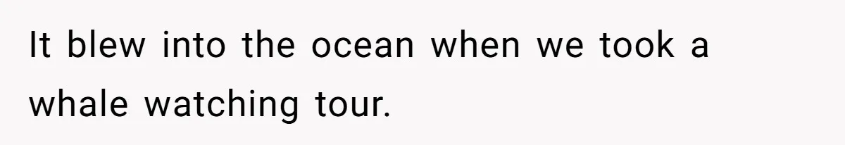 It blew into the ocean when we took a whale watching tour.