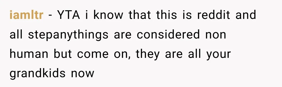 iamltr - YTA i know that this is reddit and all stepanythings are considered non human but come on, they are all your grandkids now
