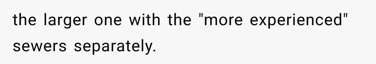 the larger one with the "more experienced" sewers separately.