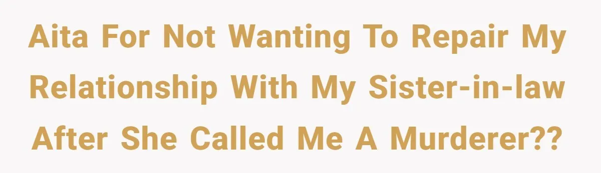 AITA for not wanting to repair my relationship with my sister-in-law after she called me a murderer??
