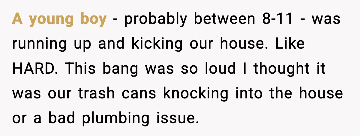 A young boy - probably between 8-11 - was running up and kicking our house. Like HARD. This bang was so loud I thought it was our trash cans knocking...