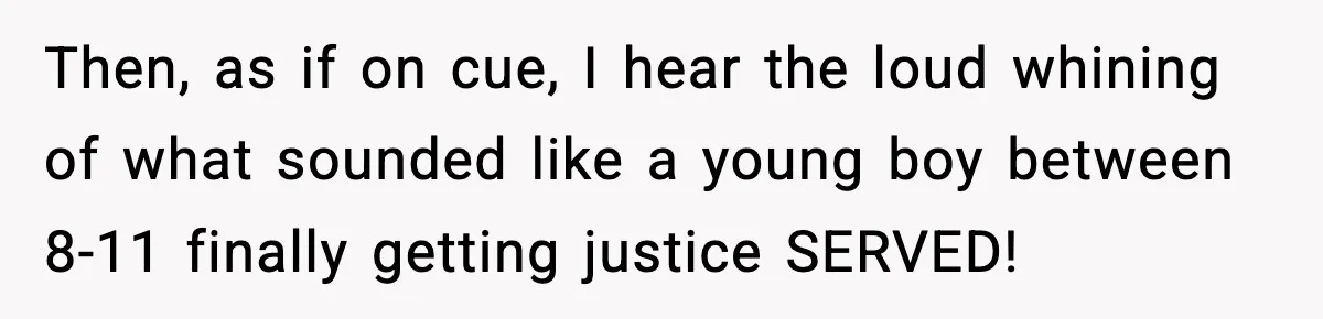 Then, as if on cue, I hear the loud whining of what sounded like a young boy between 8-11 finally getting justice SERVED!