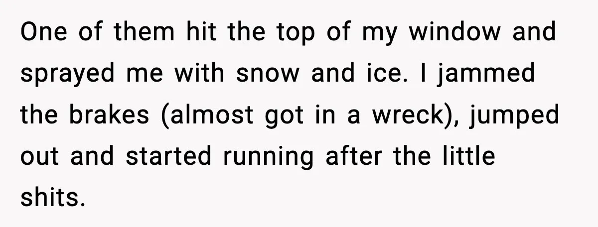 One of them hit the top of my window and sprayed me with snow and ice. I jammed the brakes (almost got in a wreck), jumped out and started running...