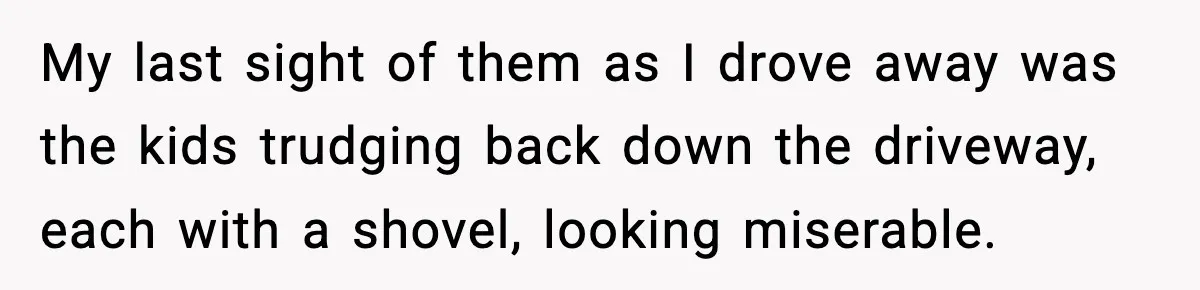 My last sight of them as I drove away was the kids trudging back down the driveway, each with a shovel, looking miserable.