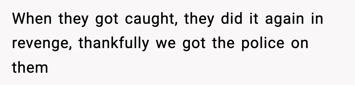When they got caught, they did it again in revenge, thankfully we got the police on them