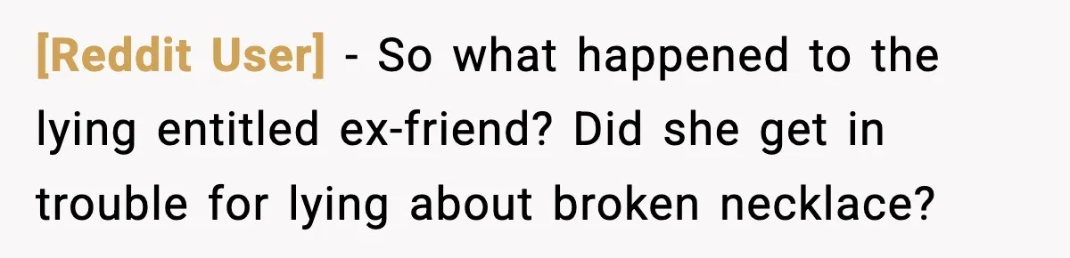 [Reddit User] − So what happened to the lying entitled ex-friend? Did she get in trouble for lying about broken necklace?