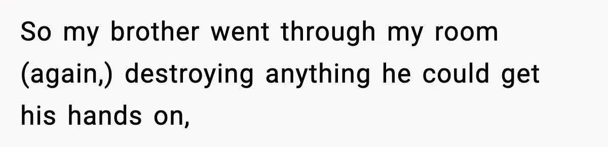 So my brother went through my room (again,) destroying anything he could get his hands on,