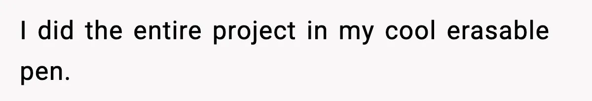 I did the entire project in my cool erasable pen.