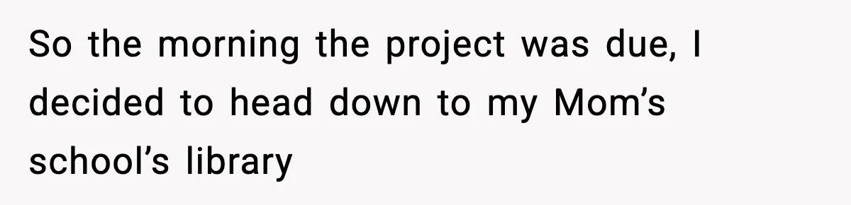 So the morning the project was due, I decided to head down to my Mom’s school’s library