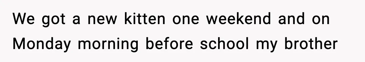 We got a new kitten one weekend and on Monday morning before school my brother