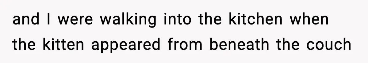 and I were walking into the kitchen when the kitten appeared from beneath the couch
