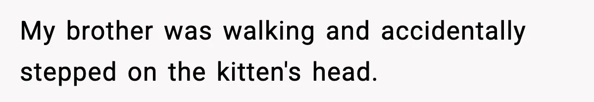 My brother was walking and accidentally stepped on the kitten's head.