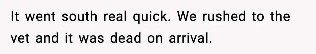 It went south real quick. We rushed to the vet and it was dead on arrival.