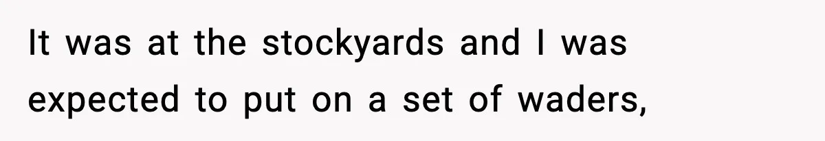 It was at the stockyards and I was expected to put on a set of waders,