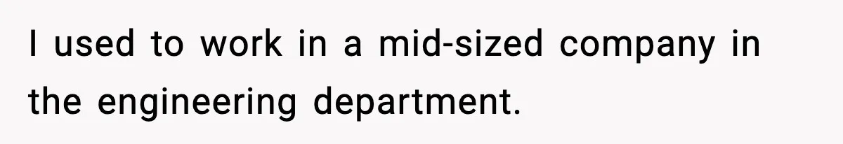 I used to work in a mid-sized company in the engineering department.