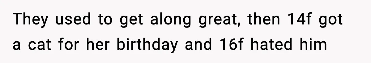 They used to get along great, then 14f got a cat for her birthday and 16f hated him