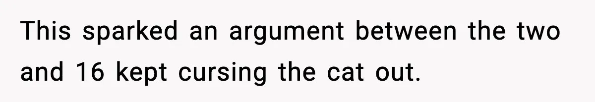 This sparked an argument between the two and 16 kept cursing the cat out.