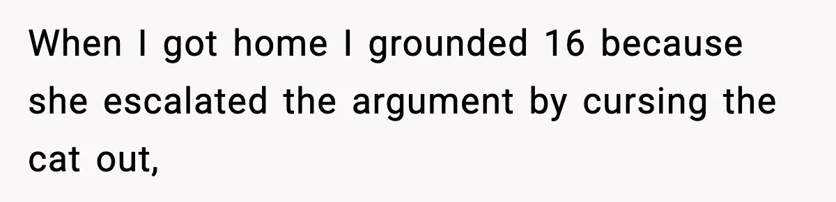When I got home I grounded 16 because she escalated the argument by cursing the cat out,