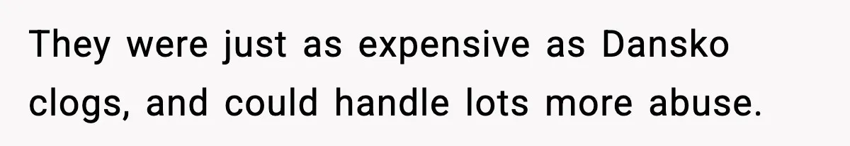 They were just as expensive as Dansko clogs, and could handle lots more abuse.