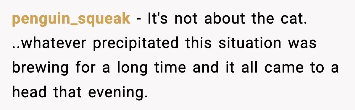 penguin_squeak − It's not about the cat. ..whatever precipitated this situation was brewing for a long time and it all came to a head that evening.