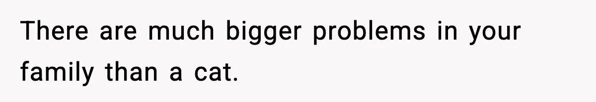 There are much bigger problems in your family than a cat.