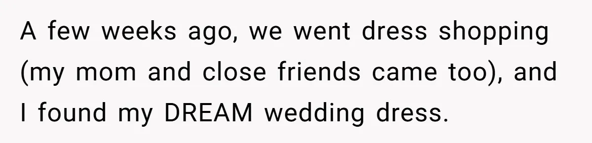 A few weeks ago, we went dress shopping (my mom and close friends came too), and I found my DREAM wedding dress.